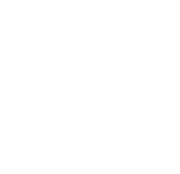 戸建住宅